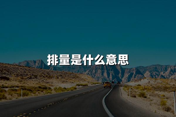 排量是什么意思