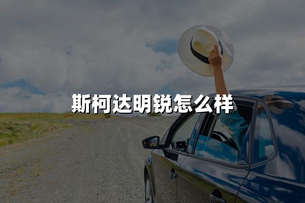 探秘斯柯达明锐：一款家轿的全方位魅力评估