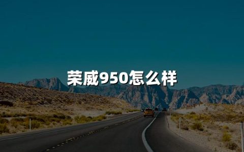 荣威950怎么样？荣威950：匠心之作！