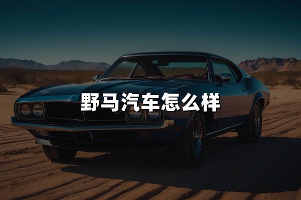 野马汽车怎么样？野马一辆自由驰骋的汽车！