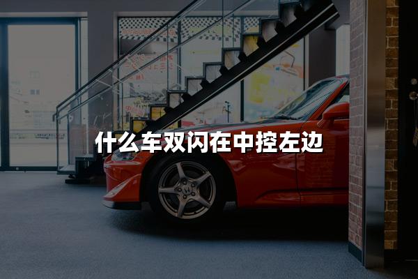 什么车双闪在中控左边