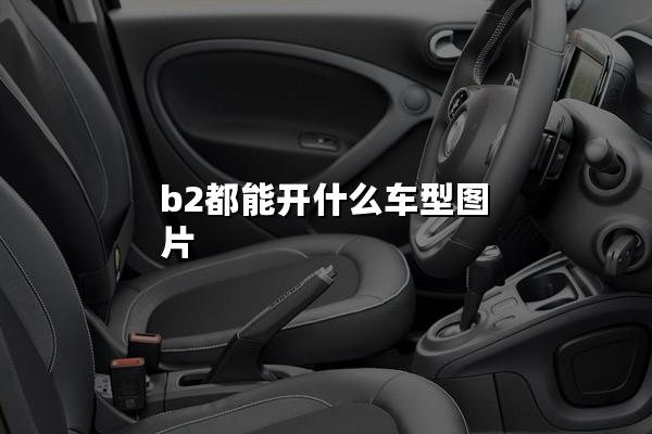 b2都能开什么车型图片