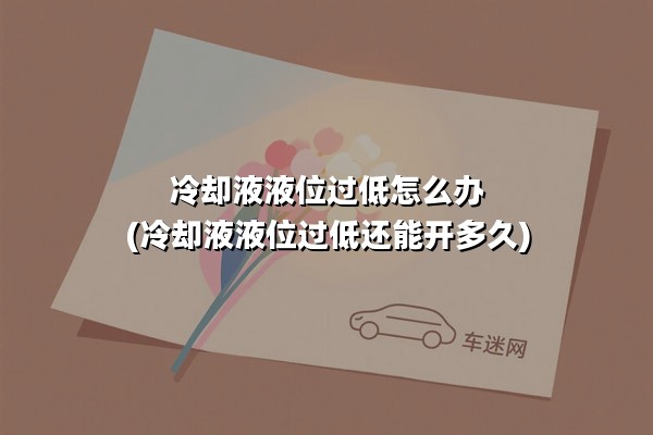 冷却液液位过低怎么办(冷却液液位过低还能开多久)
