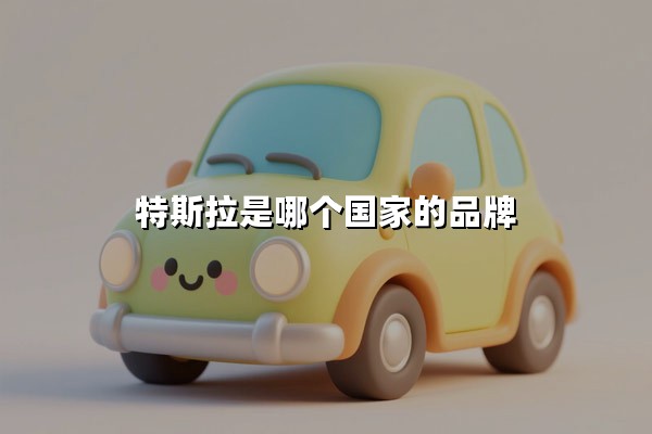 特斯拉是哪个国家的品牌(特斯拉是哪个国家的品牌汽车)