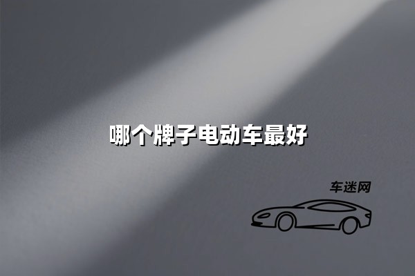 哪个牌子电动车最好(电动车什么品牌最好)