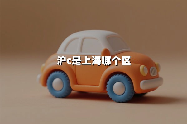 沪C是上海哪个区(沪C不能进上海哪里)
