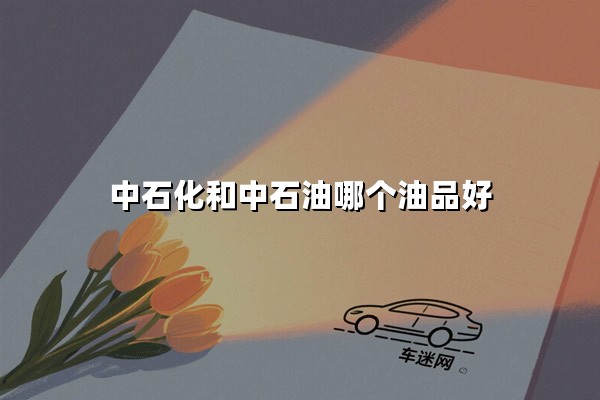 中石化和中石油哪个油品好(更耐烧)? 老司机实测揭秘油站选择门道