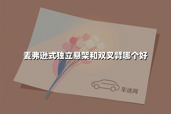 麦弗逊式独立悬架和双叉臂哪个好(双叉臂式独立悬架和麦弗逊式独立悬架哪个好)