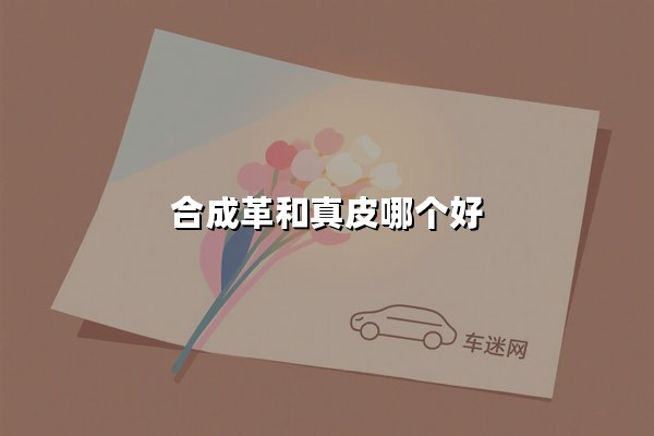 合成革和真皮哪个好(合成革比真皮好吗)：材质对比与选择指南