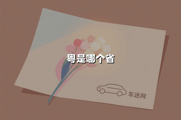 粤是哪个省(粤是哪个省的车牌号码)